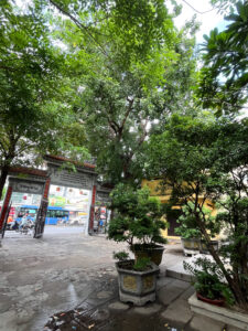 境内の写真。ベトナム・ホーチミンで労働許可証のための健康診断前に散歩。