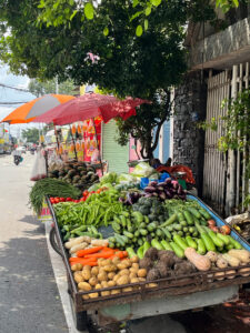 野菜の露店の写真。ベトナム・ホーチミン郊外を散歩。